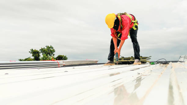 Best Roof Insulation Installation  in Fulshear, TX